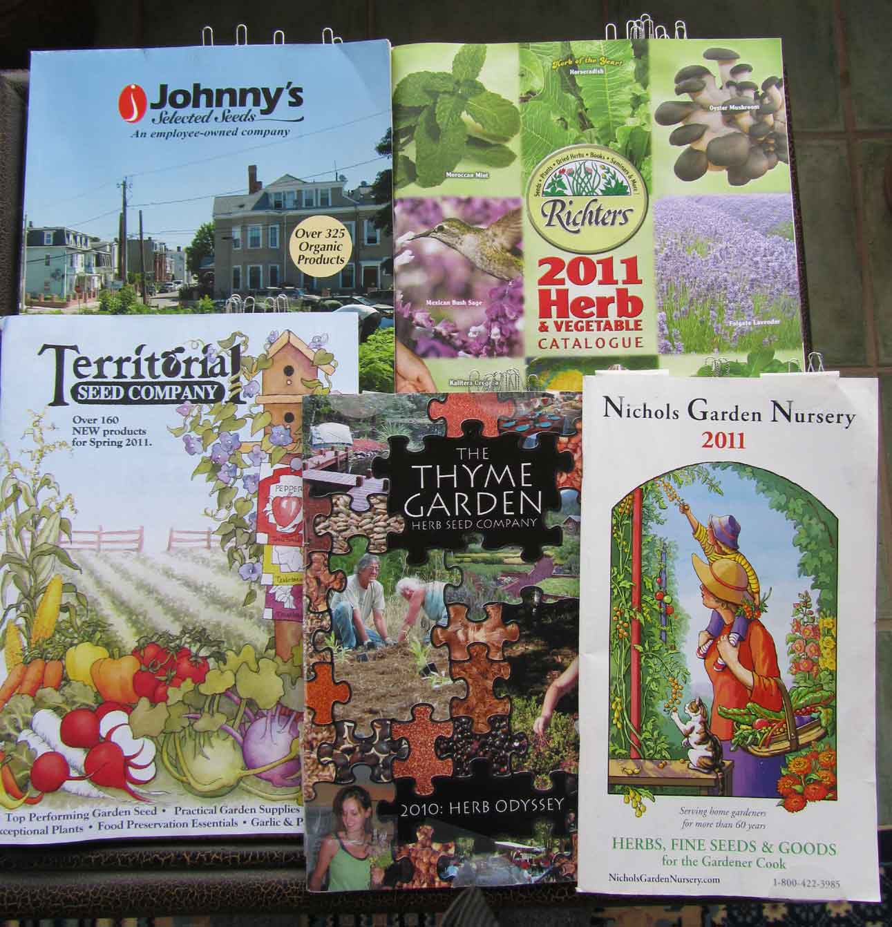 A practical blog for herb gardens